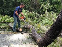 Best Leaf Removal  in Laurel, MT